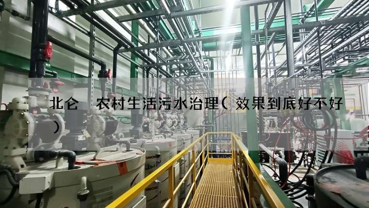 北仑 农村生活污水治理(效果到底好不好)